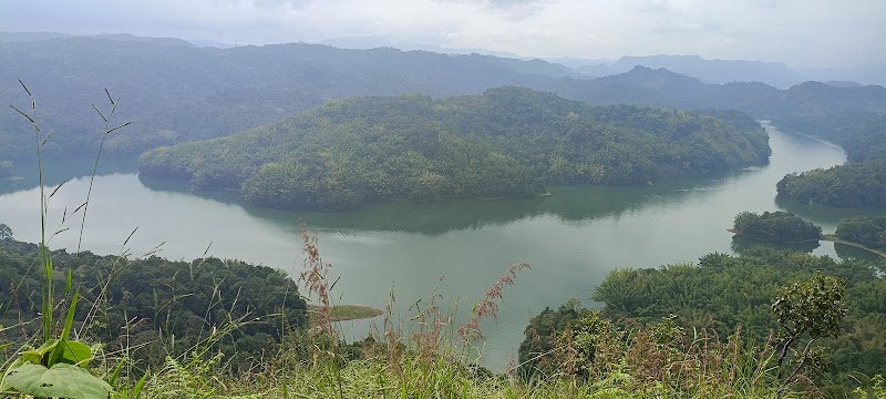 Munnar - Munnar 33Q6+34C, Munnar - Udumalpet Rd, Nullatanni, Munnar, Kerala 685612, India