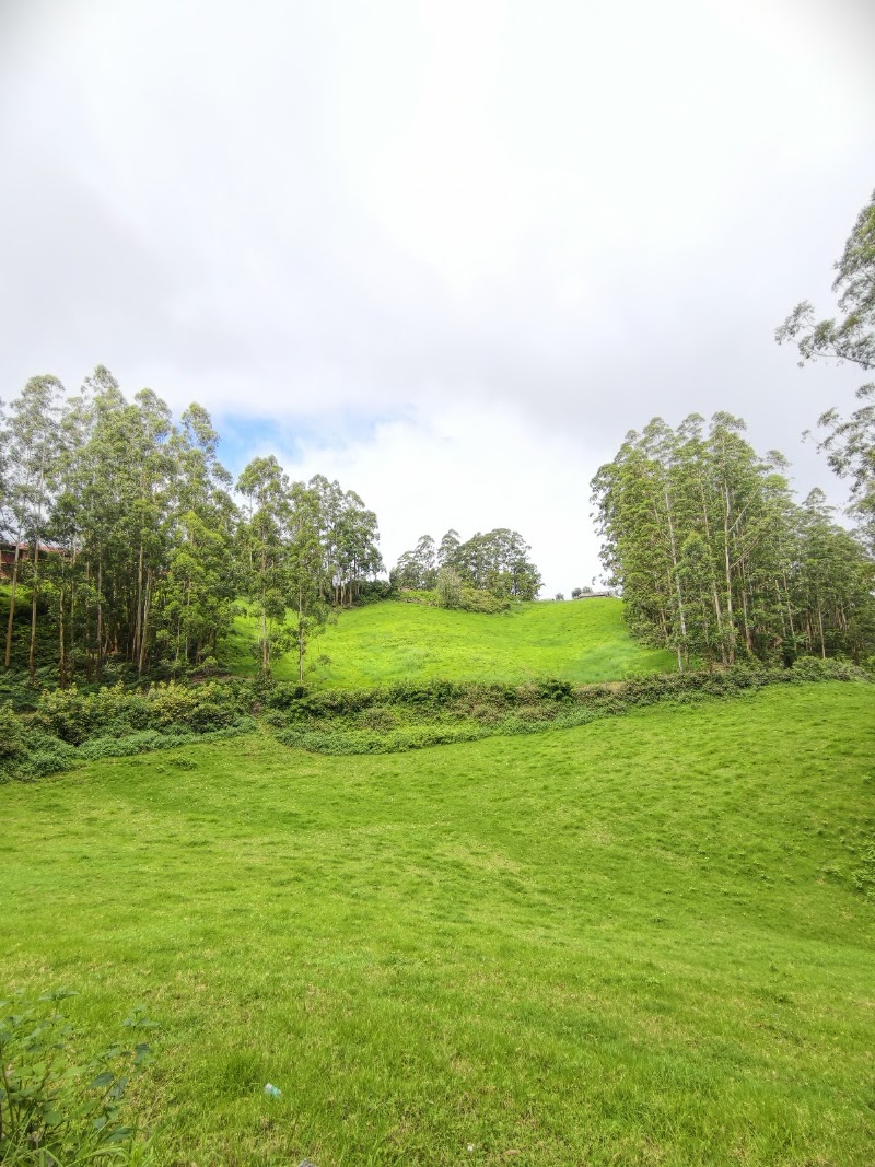 Munnar Bliss holidays - Munnar Bliss holidays Road, Mattupetty, Munnar, Kerala 685612, India