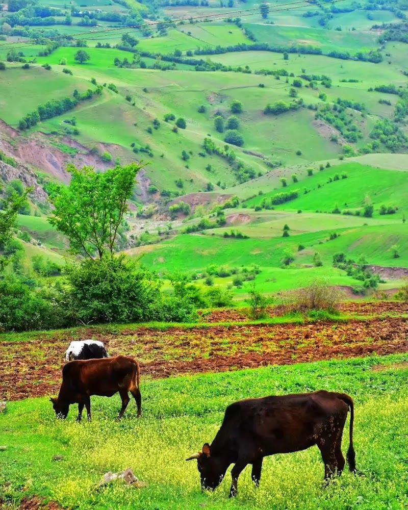 Rudbar - Rudbar, Gilan Province, Iran