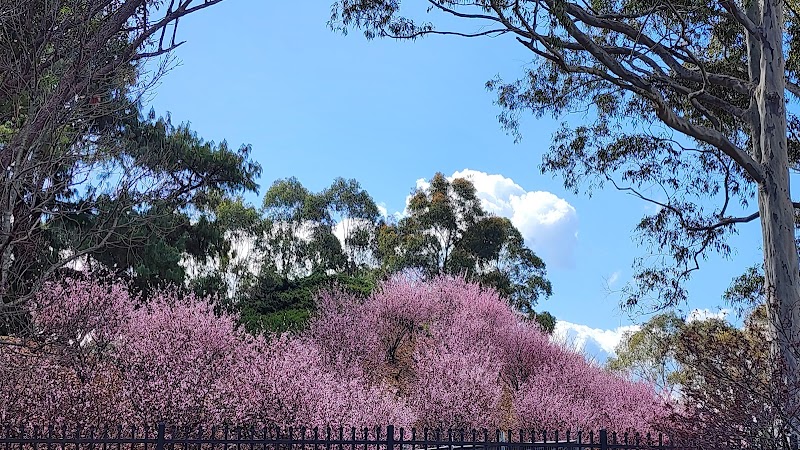 Auburn Botanic Gardens, Chisholm Rd - Auburn Botanic Gardens, Chisholm Rd Auburn NSW 2144, Australia