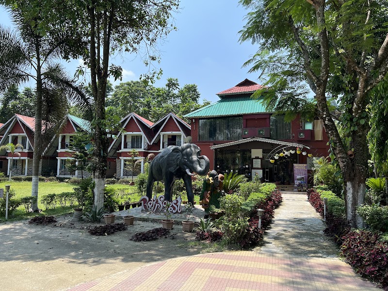 Dooars - Dooars, dhupjhora, batabari, jalpaiguri dooars, RQJV+3MR, Batabari, West Bengal 735206, India