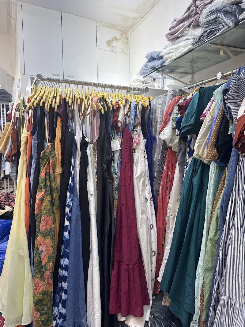 Cherry fig - Cherry fig opposite Greener leaf cage, Dr Ambedkar Rd, Pali Village, Bandra West, Mumbai, Maharashtra 400050, India