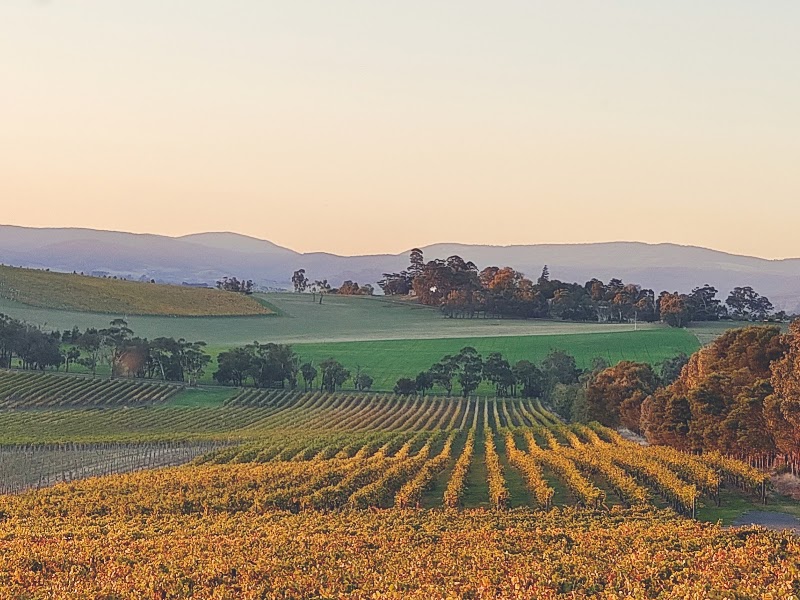 Re’em Yarra Valley at Helen & Joey Estate - Restaurant, Hotel, Best Winery, Cellar Door - Re’em Yarra Valley at Helen & Joey Estate - Restaurant, Hotel, Best Winery, Cellar Door, 12-14 Spring Ln, Gruyere VIC 3770, Australia