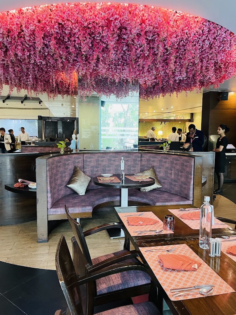 Nusara Restaurant - Nusara Restaurant CST 1221/C, Plot no. 587/3, Apte Rd, Shivajinagar, Pune, Maharashtra 411004, India