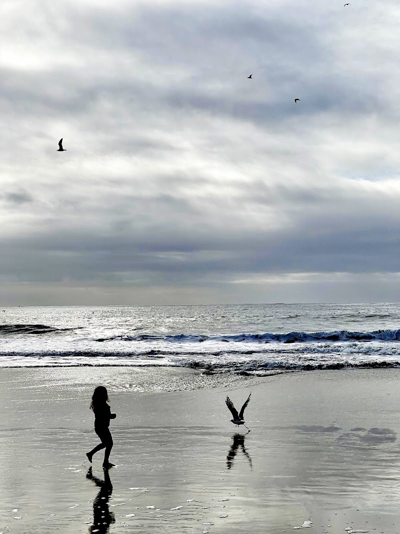 Venice Beach - Half Moon Bay State Beach - Venice Beach - Half Moon Bay State Beach 29 Venice Blvd, Half Moon Bay, CA 94019, USA