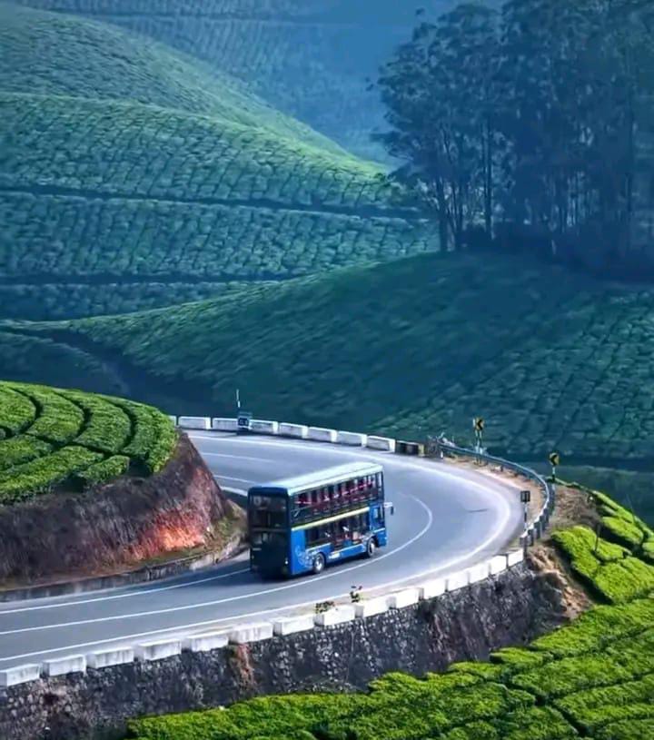 Munnar Scenery - Munnar Scenery SH17, Nullatanni, Munnar, Kerala 685612, India