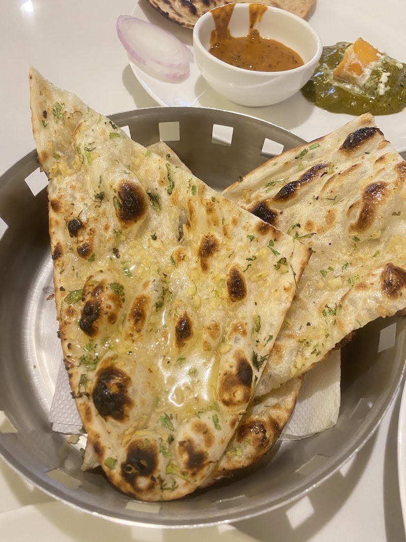 Cafe Bailamos - Cafe Bailamos C-97, Sector-C, Shastri Nagar, Jodhpur, Rajasthan 342011, India