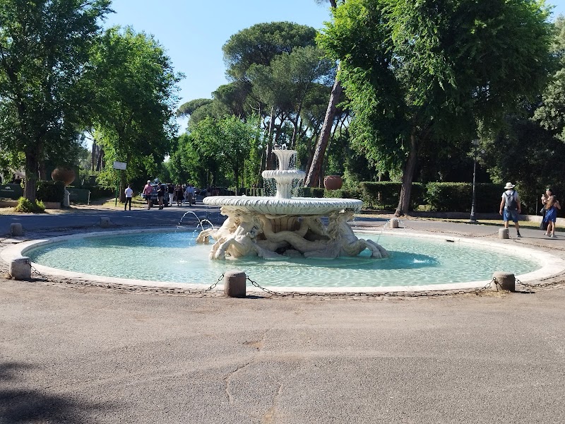 Piazza di Siena - Piazza di Siena, Villa Borghese, 00197 Roma RM, Italy