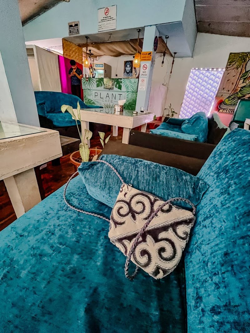 Plant Cafe - Plant Cafe Morjim Beach Road, Morjim, Goa 403512, India