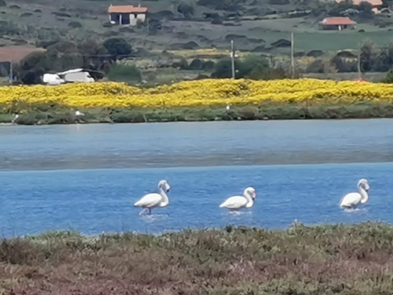 Laguna di Mistras