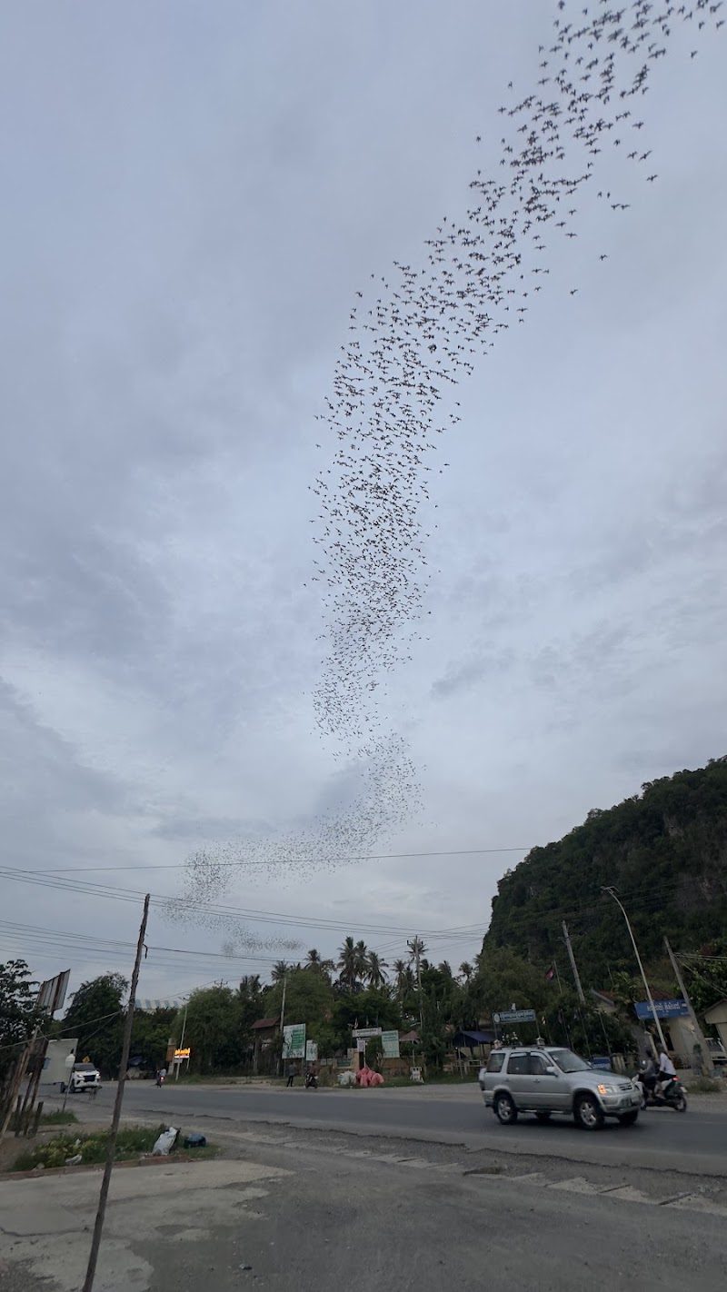 Bat cave, Killing cave, bamboo train and handicraft tour - Bat cave, Killing cave, bamboo train and handicraft tour, Tea Cham Rath St, Krong Battambang 02000, Cambodia