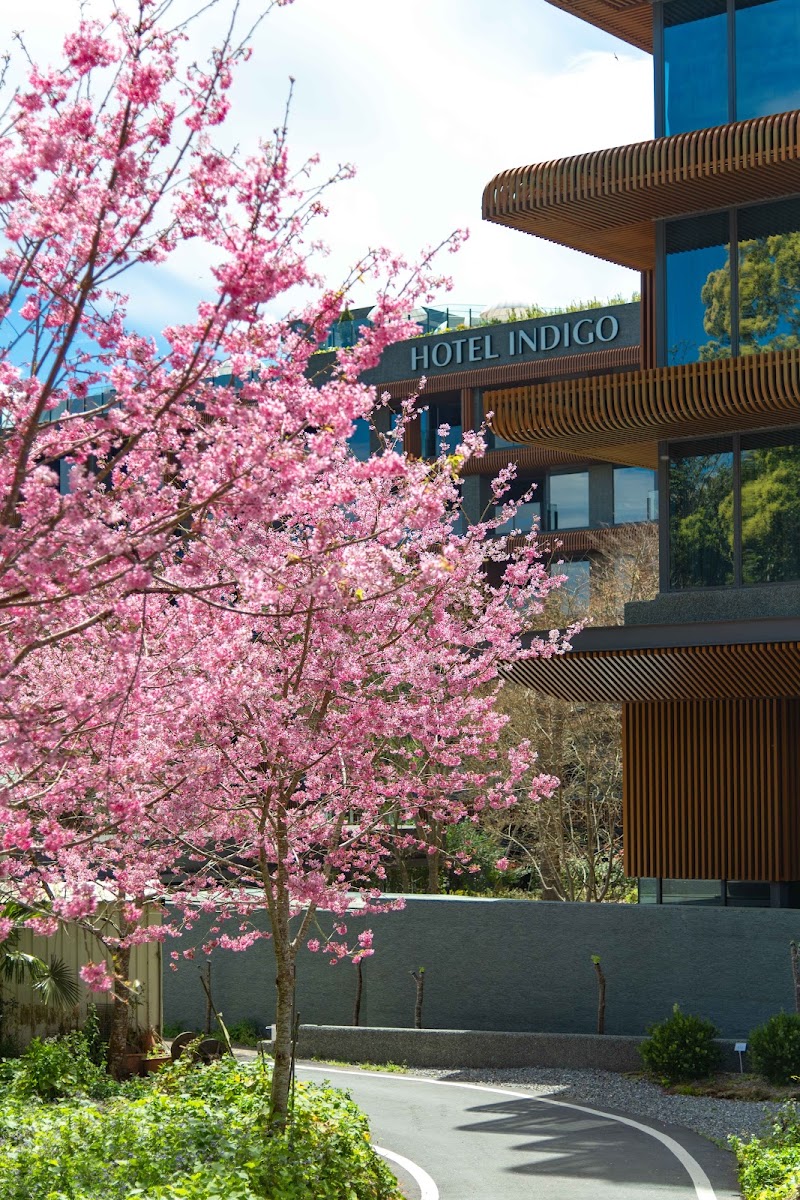 Hotel Indigo Alishan - Hotel Indigo Alishan 602, Taiwan, Chiayi County, Fanlu Township, Gongtian Village, 龍頭20號