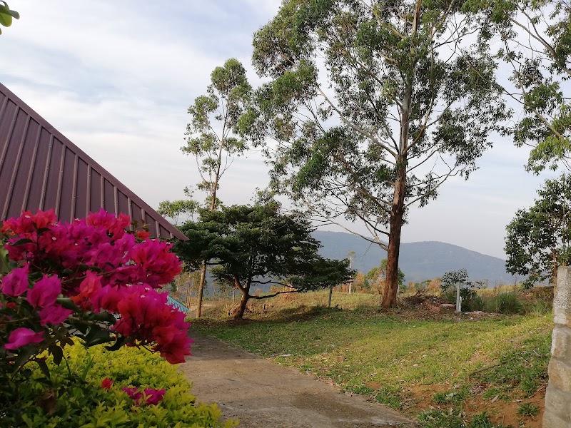 Green Jungle Holiday Resort - Green Jungle Holiday Resort, MUNNAR CATERING COLLEGE, Bodimethu to Suryanallei, Munnar, Suryanelli, Kerala 685618, India