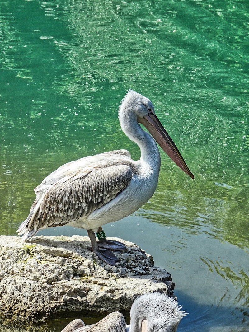 Dählhölzli - Dählhölzli Tierparkweg 3, 3005 Bern, Switzerland