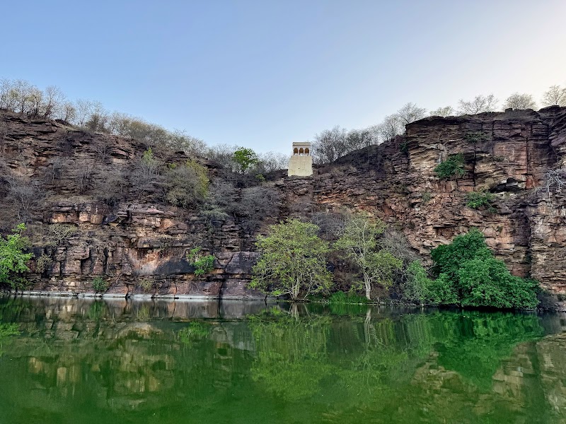 Chambal safari