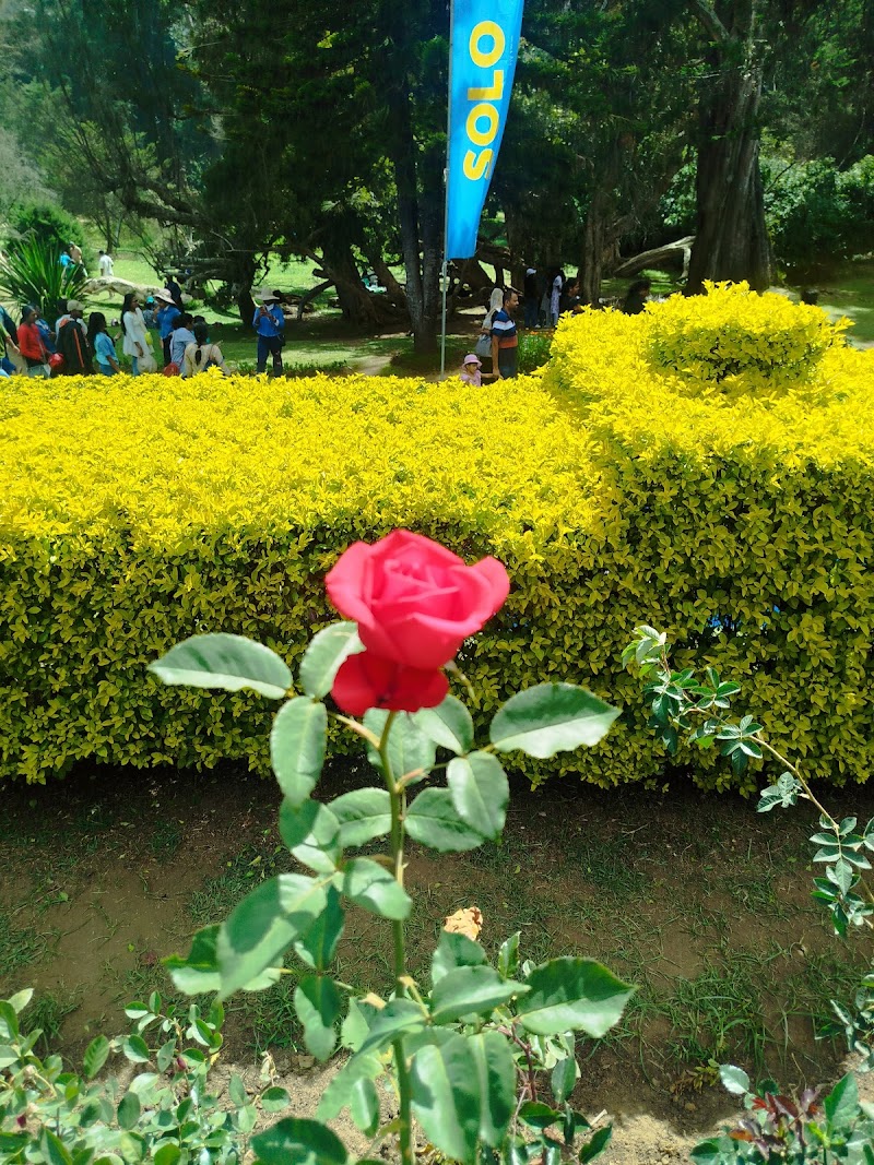Victoria Park - Nuwara Eliya - Victoria Park - Nuwara Eliya, XQ99+J7G, PBC Hwy, Nuwara Eliya 22200, Sri Lanka
