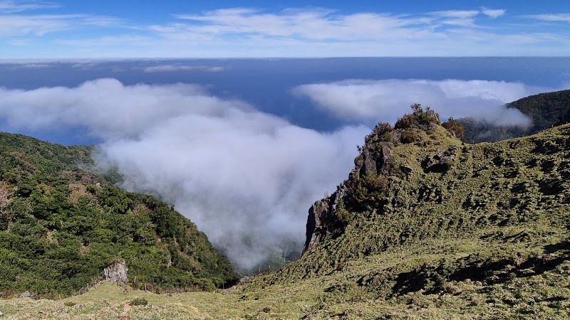 Fanal Forestry Station - Fanal Forestry Station Fanal, 9270 Porto Moniz, Portugal