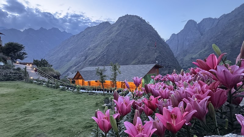 Blue Poppy Premier - Blue Poppy Premier Joshimath, Uttarakhand 246443, India