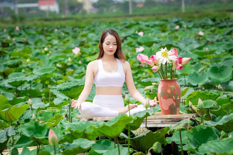 Đầm sen Hành Cung Vũ Lâm Ninh Thắng - Đầm sen Hành Cung Vũ Lâm Ninh Thắng, 6X83+W63, Nam Hoa Lu, Ninh Binh, Vietnam