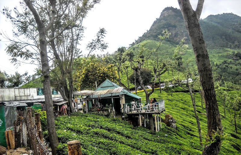 Coonoor Estates - Coonoor Estates C/O Matheson, Bosanquet Enterprises Pvt LTD, Bandishola, Coonoor, Tamil Nadu 643103, India
