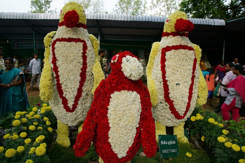 Yercaud - Yercaud Q6P6+3RJ, Yercaud, Tamil Nadu 636602, India