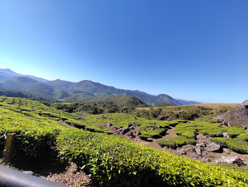 Tea garden view point - Tea garden view point, 46HP+9WJ, Munnar - Top Station Hwy, Bodi Hill North, Kannan Devan Hills, Tamil Nadu 625582, India