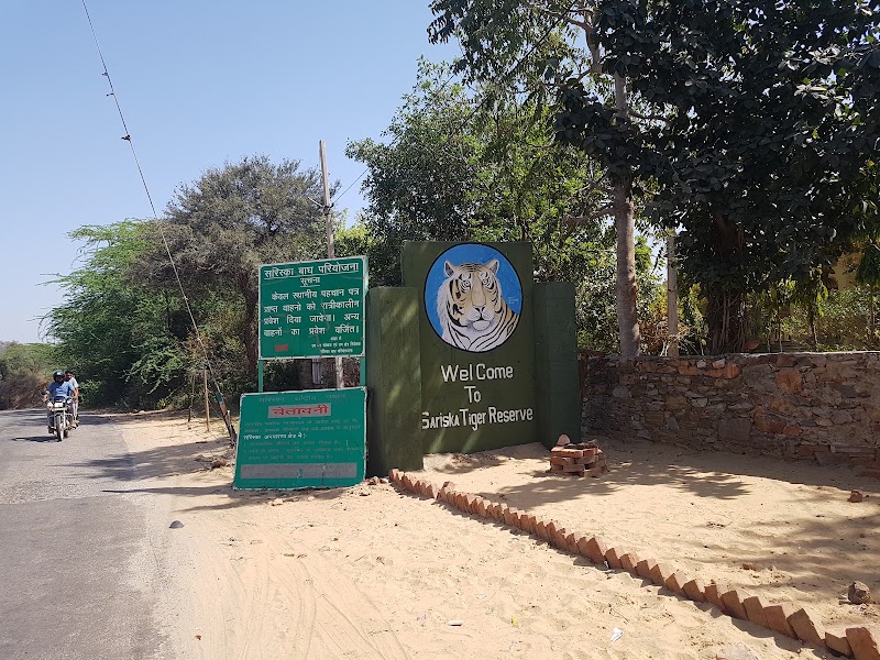 Sariska Safari Booking - Sariska Safari Booking Neare Sariska tiger reserve booking office, Ganeshpura With Rundh Kali Ghati, Rajasthan 301022, India