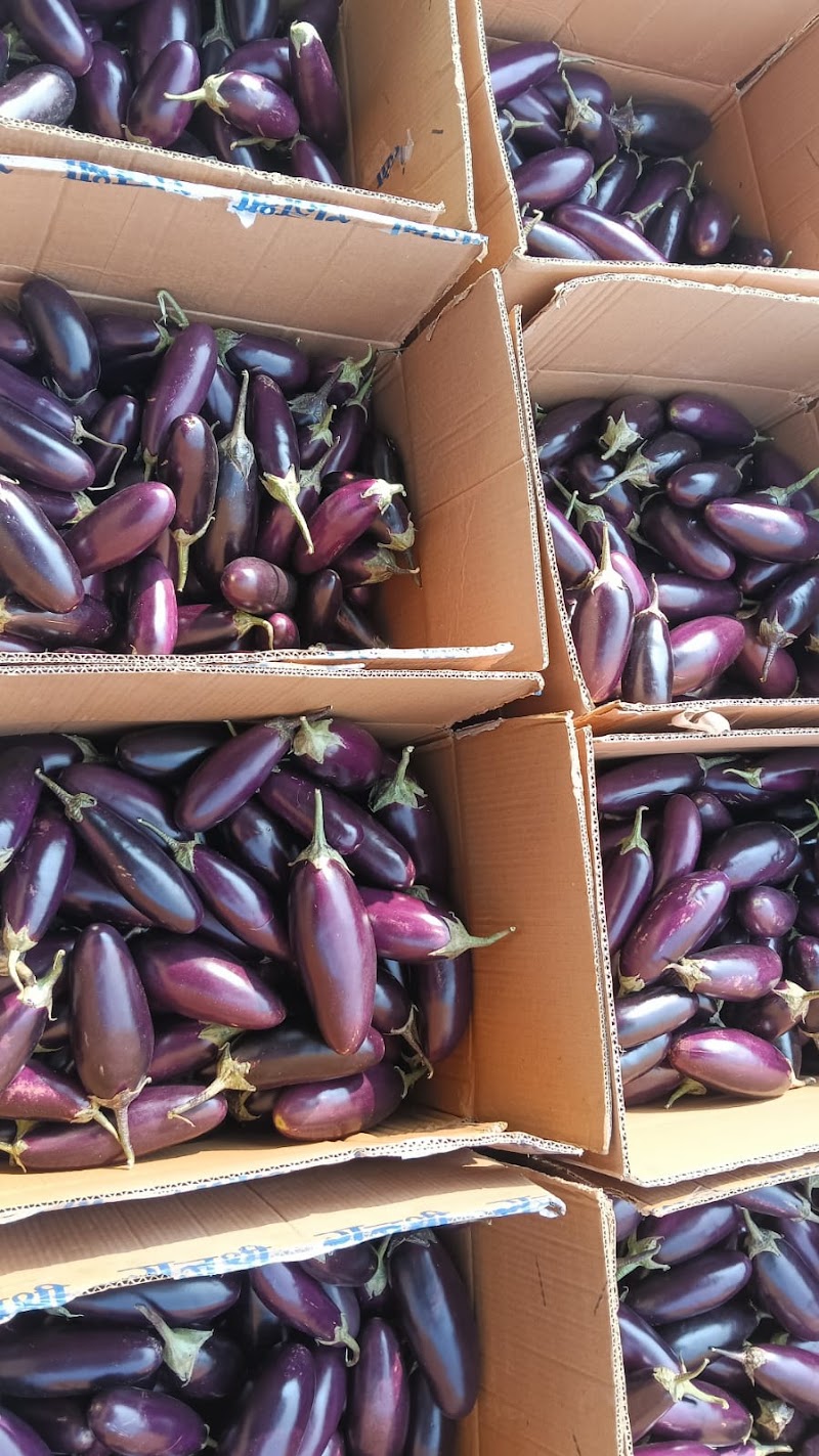 CHR Farms & Safe Farm - CHR Farms & Safe Farm, Changori, Chhattisgarh 491111, India