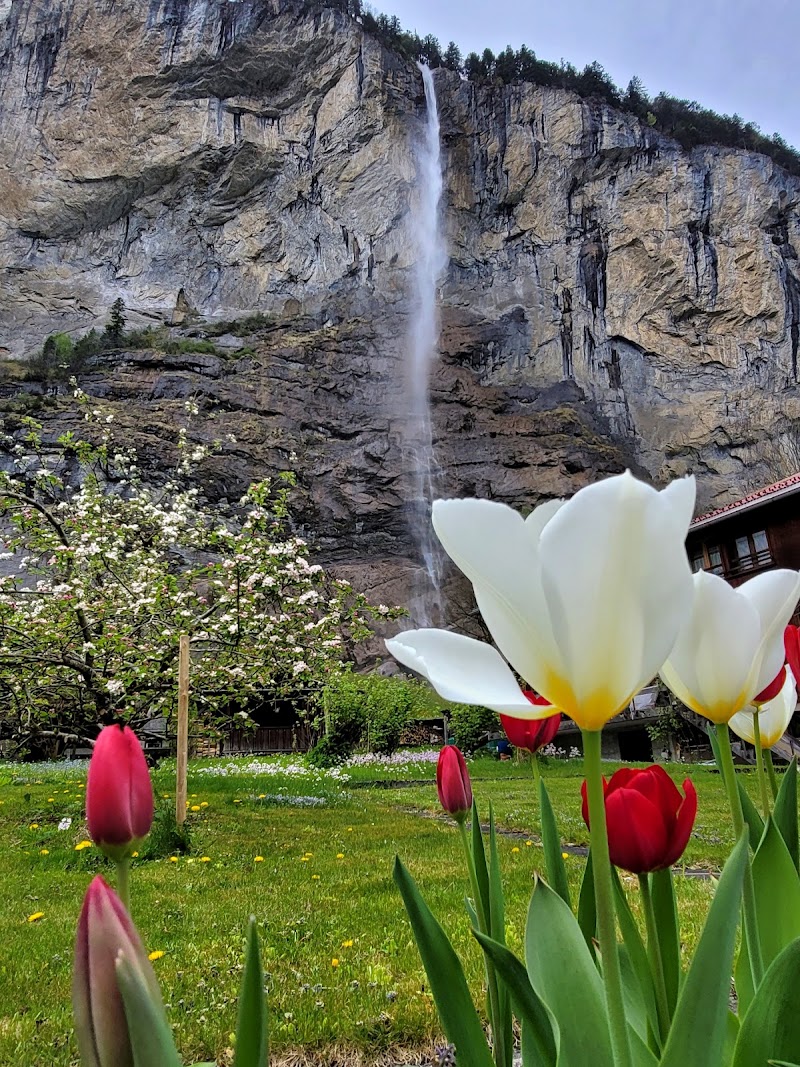 Schiltwaldbachfall - Schiltwaldbachfall Dornimaad 148A, 3823 Lauterbrunnen, Switzerland