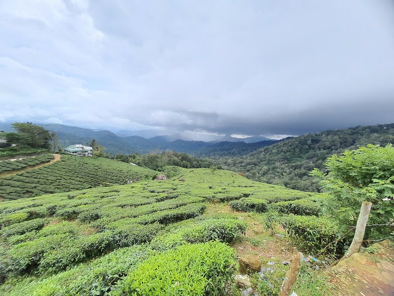 Munnar Majestic Resort - Munnar Majestic Resort Anachal - Kunchithanny Rd, Kunchithanny, Kerala 685565, India