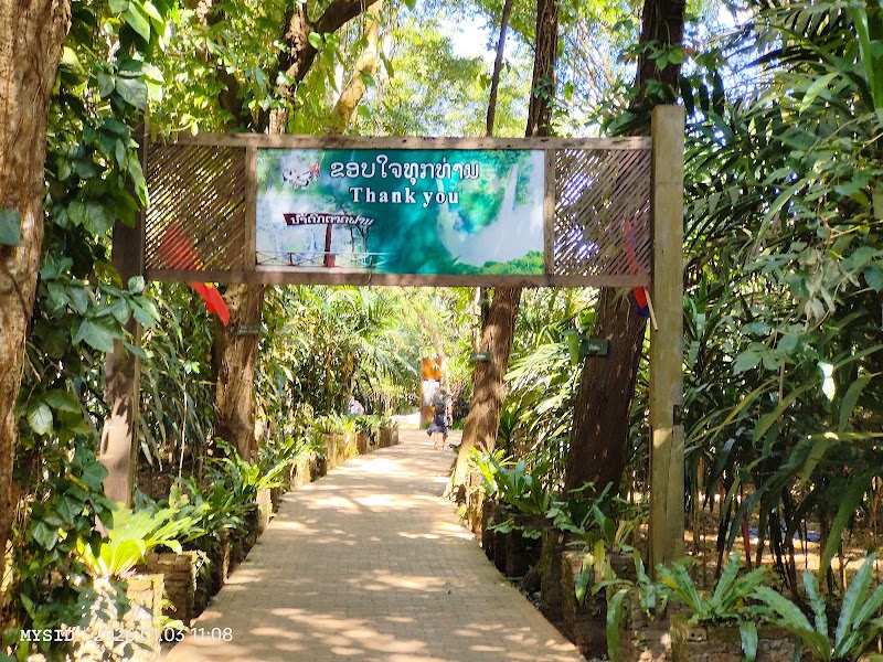 Tad Fane Waterfall - Tad Fane Waterfall, 54JH+6Q5, Paksong KM38, Laos