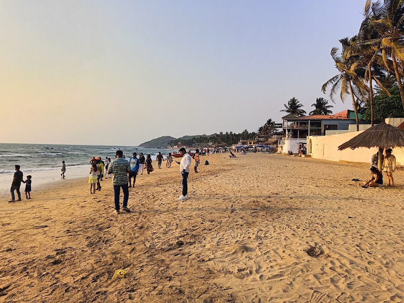Cafe Lilliput - Cafe Lilliput H NO 789, 3, Waddo, Gaonkar, Anjuna, Goa 403509, India
