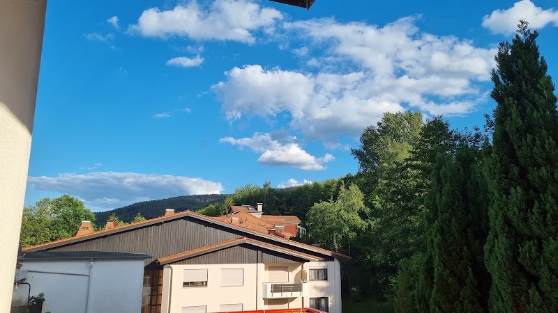 Hotel Olympia - Hotel Olympia, Lindenallee 42, 63619 Bad Orb, Germany