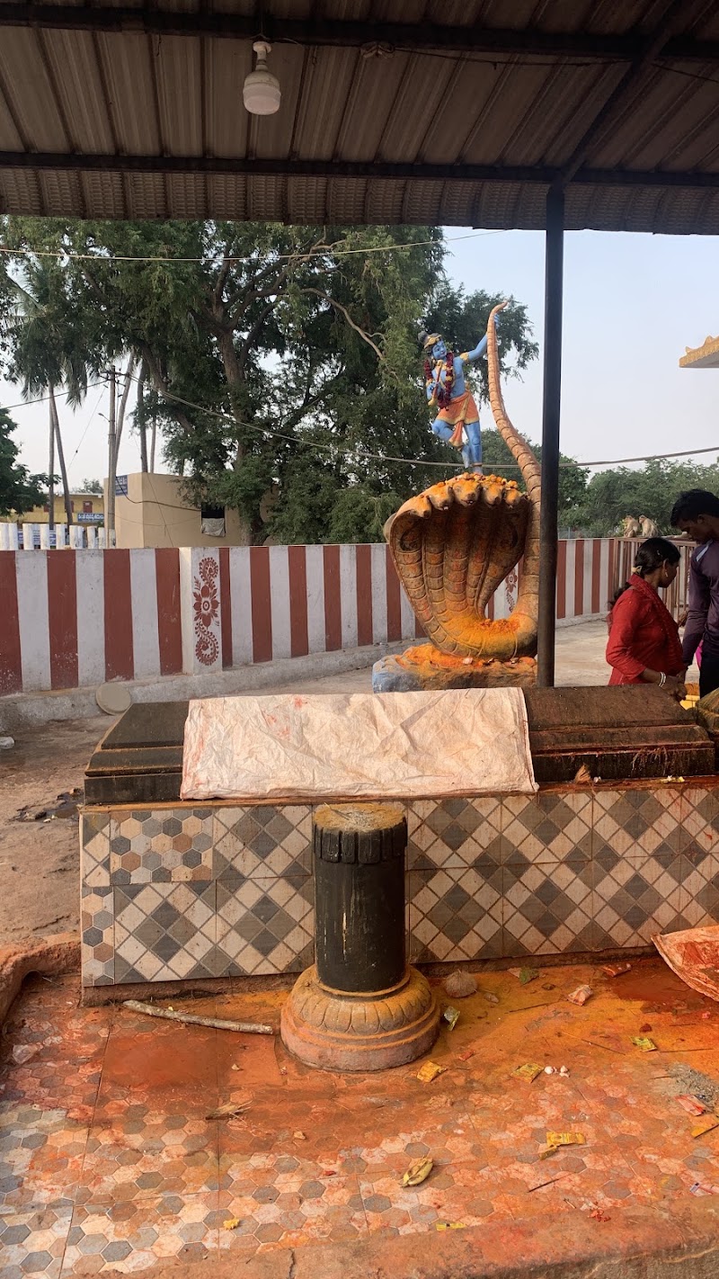 Penchala Swamy Temple - Penchala Swamy Temple JH64+FR3, Nellore, Depuru, Andhra Pradesh 524322, India