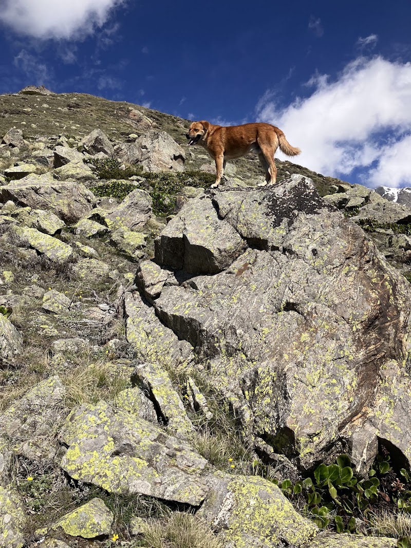 Chaka peak - Chaka peak G6Q4+2W, Dhar Shulacha Pilaya, Himachal Pradesh 172108, India