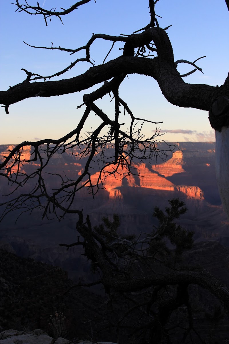 Desert View Drive - Desert View Drive, Desert View Dr, Grand Canyon Village, AZ, USA