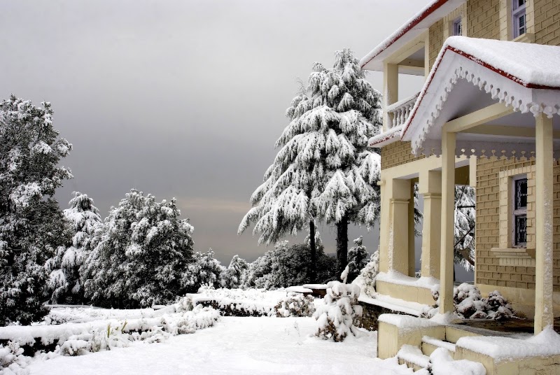 Tree of Life Grand Oak Manor Binsar - Tree of Life Grand Oak Manor Binsar, Jhandi Dhar - Binsar Sanctuary Gate Rd, Regariya, Uttarakhand 263601, India