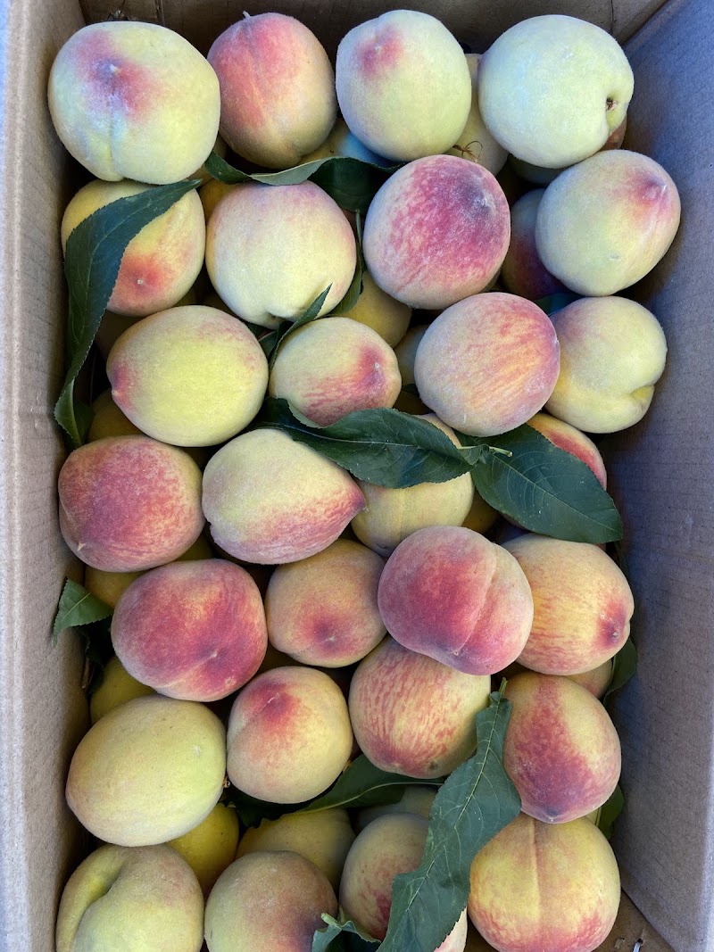 Fruit Market - Fruit Market, 9GP7+HPG, NH 109, Bhowali, Bhawanipur, Sukha, Uttarakhand 263132, India
