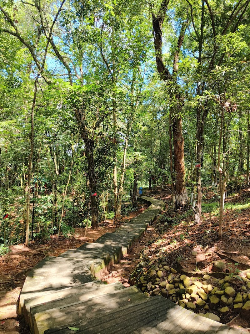 Botanical Garden - Botanical Garden HVGP+JP9, Khyndailad, Police Bazar, Shillong, Meghalaya 793001, India