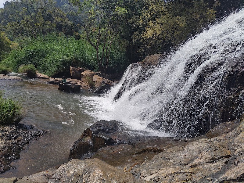 Catherine Water Falls - Catherine Water Falls 9VM5+C5W, Tamil Nadu 643201, India