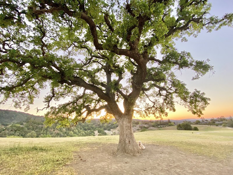 Westwind Community Barn - Westwind Community Barn 27210 Altamont Rd, Los Altos Hills, CA 94022, USA