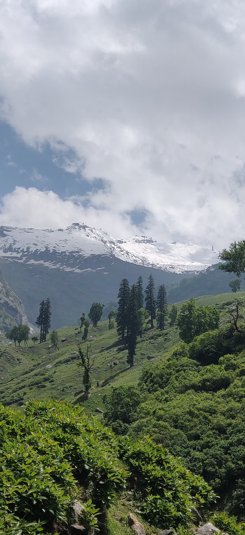 Lower Chikha Camp site - Lower Chikha Camp site 769X+J4P, Manali, Himachal Pradesh 175143, India