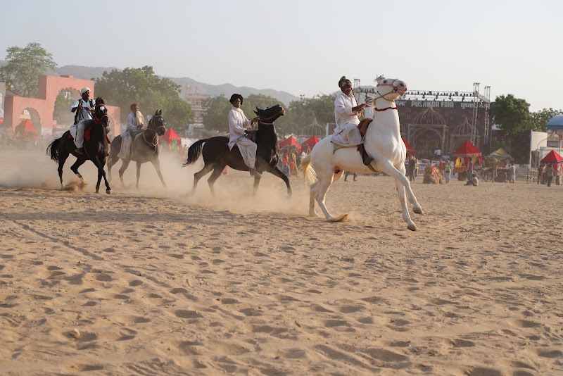 Pushkar Camel Safari - Pushkar Camel Safari, Ajmer - Nagaur Rd, opp. Civil Court, near Railway Patak , Pushkar, Pushkar, Rajasthan 305022, India