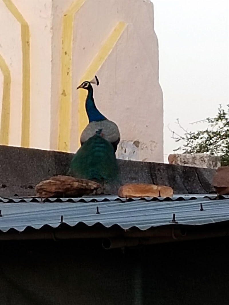Gandhi Sagar Haidel Col - Gandhi Sagar Haidel Col, Madhya Pradesh 458771, India