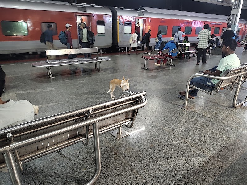 CLT Platform No - 4 - CLT Platform No - 4, 6QWJ+H58, Main, Palayam, Kozhikode, Keralam 673001, India