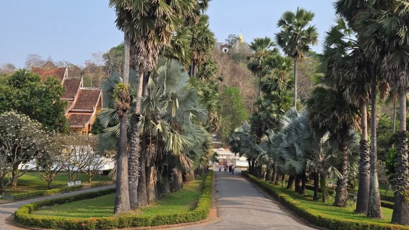 Haw Phra Bang - Haw Phra Bang, V4RP+MHC, Sisavangvong Road, Luang Prabang, Laos