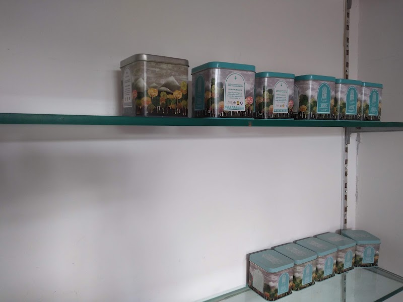 Tea Garden - Tea Garden, 6856+Q3W, Narghota Road, Dharamshala, Himachal Pradesh 176217, India