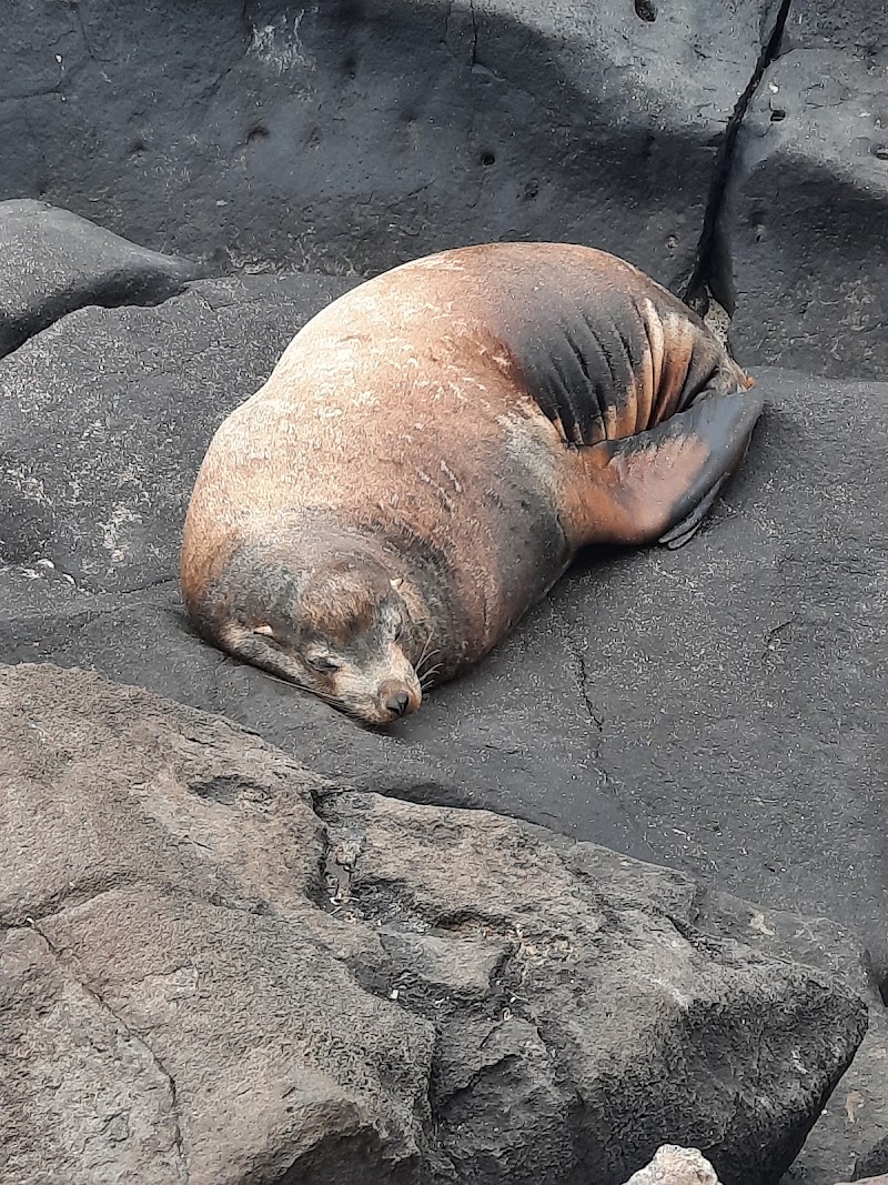 Playa de los Marinos - Playa de los Marinos, 39WP+XM4, Av. de la Armada Nacional, Puerto Baquerizo Moreno, Ecuador