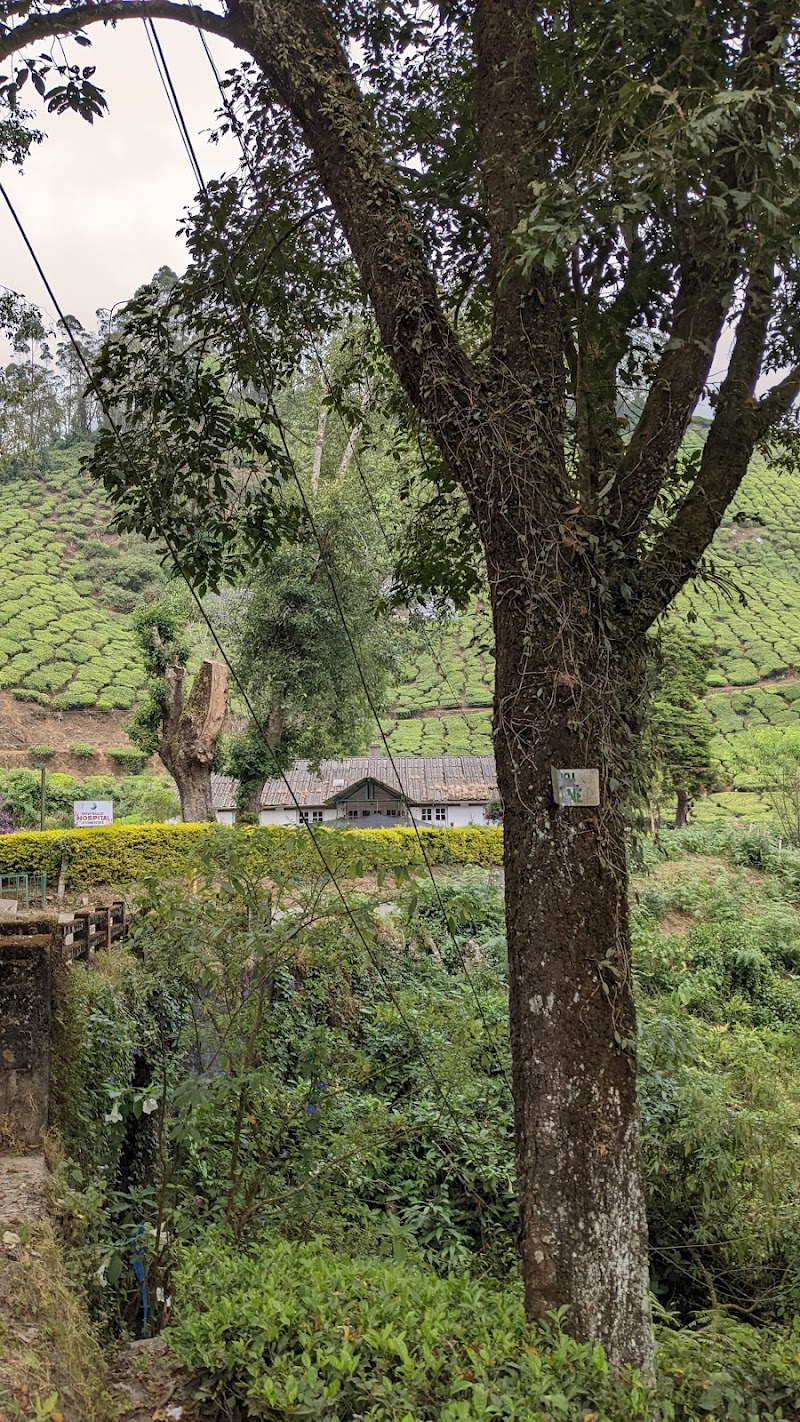 Laxmi Tea Estate - Laxmi Tea Estate, 329X+J3C, Unnamed Road, Kannan Devan Hills, Kerala 685612, India