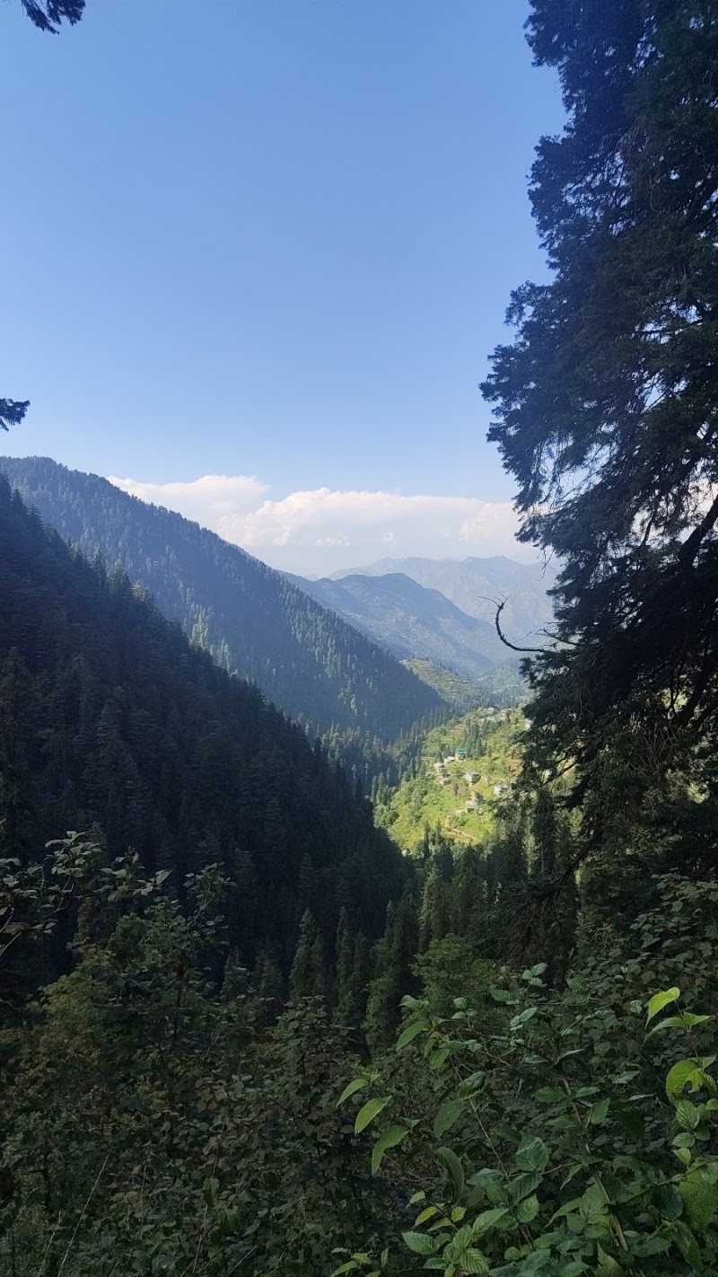 Shoja Waterfall Track Starting Point - Shoja Waterfall Track Starting Point, NH305, Sajwar, Himachal Pradesh 175123, India